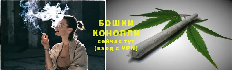 Канабис White Widow  Большой Камень 